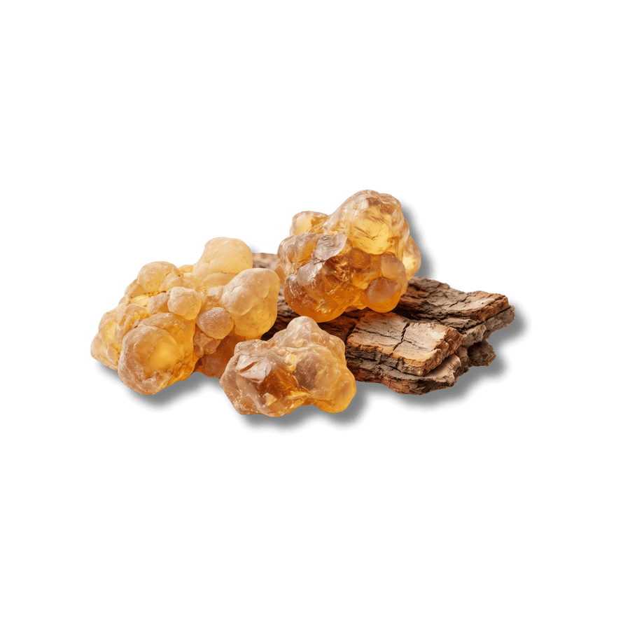 Boswellia Serrata