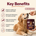 Wuffbytes HJ-01™ Advanced Hip & Joint Chews