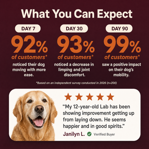 Wuffbytes HJ-01™ Advanced Hip & Joint Chews