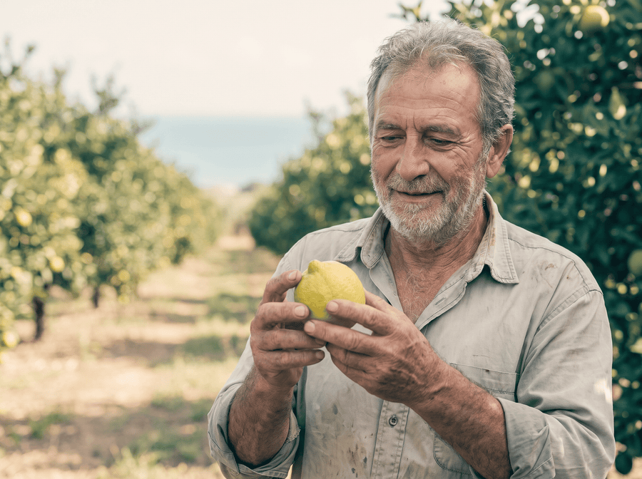 Standardized Calabrian Bergamot